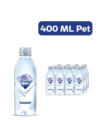 Uludağ Premium Şişe 400 ml (12 Adet)