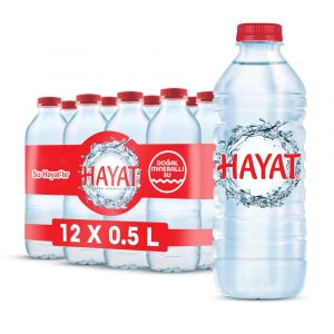 Hayat 0,5 Litre Pet Su 12'li Paket